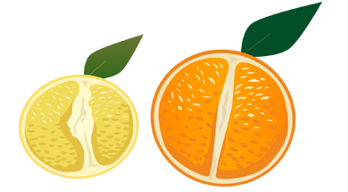 Infected orange compared to healthy orange